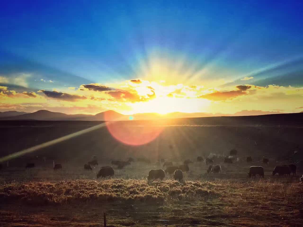 1477550978863453APCS.jpg 葉揚(yáng)1秋夕.jpg