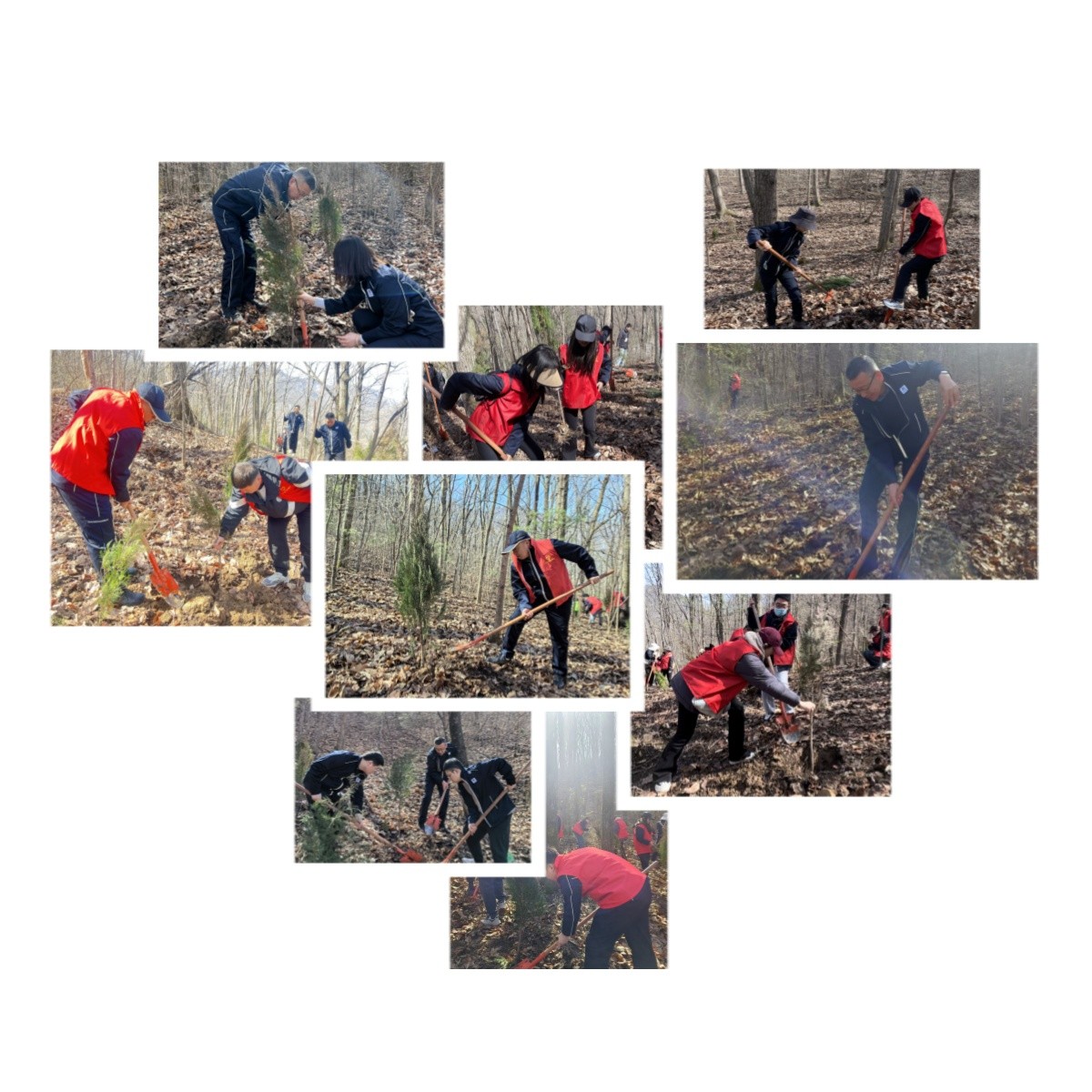 1710211027147684xWBq.jpg 植樹活動現(xiàn)場.jpg